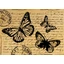 Dekupázs rizspapír A4 csom. - Butterly with words Dekupázs rizspapír A4 csom. - Butterly with words